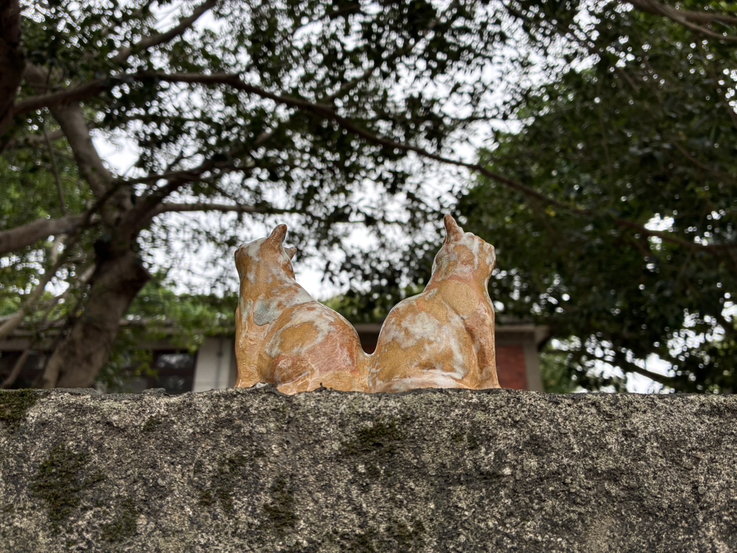 邱伶琳＿《守護者》