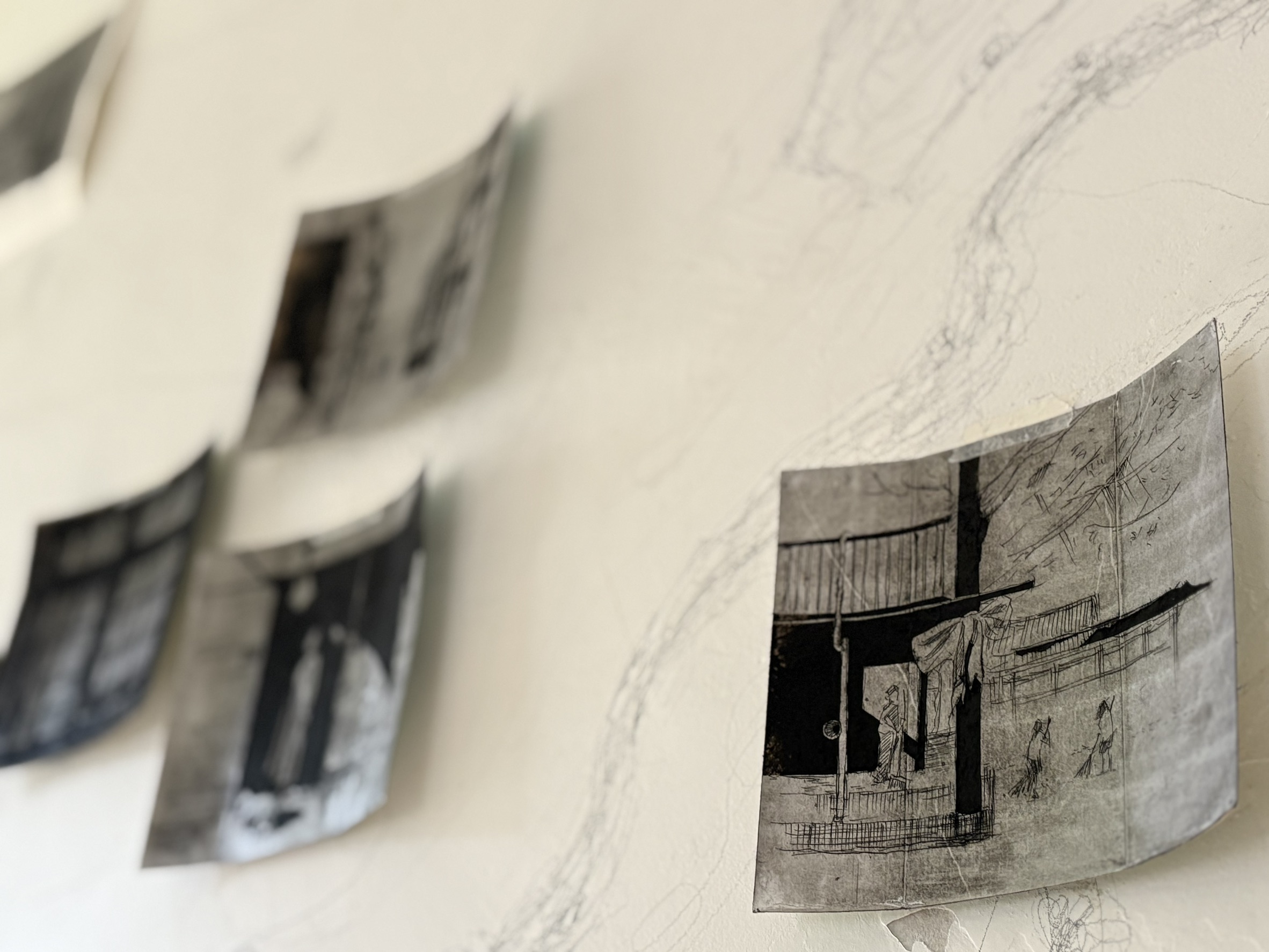 張乃仁_作品照3 張乃仁_作品照3