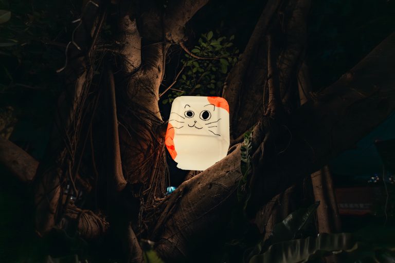 裝置藝術介紹＿群和之光