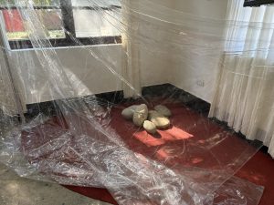 張乃仁＿作品照2