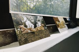 邱伶琳＿作品照