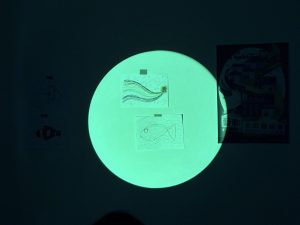 IMG_1897