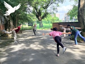 合集-05